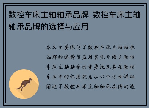 数控车床主轴轴承品牌_数控车床主轴轴承品牌的选择与应用